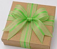 Sheer ribbon with Satin Stripe-Lime-4 cms-10 yards