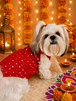 Red Mirror Kurta