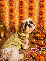Mehendi Green Mirror Kurta