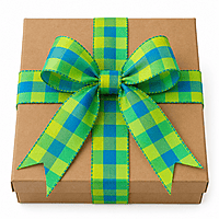 Check Fabric Ribbon