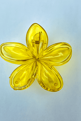 Big size Flower Hair Clips Combo | 6 Stylish Claw Clips(Pack of 6)