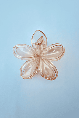 Big size Flower Hair Clips Combo | 6 Stylish Claw Clips(Pack of 6)
