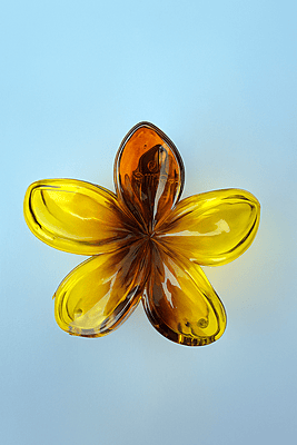 Big size Flower Hair Clips Combo | 6 Stylish Claw Clips(Pack of 6)