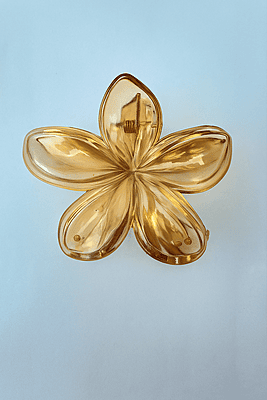 Big size Flower Hair Clips Combo | 6 Stylish Claw Clips(Pack of 6)