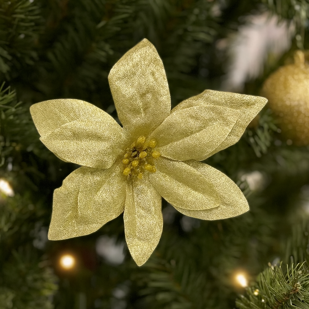 Champagne Spark Poinsettia