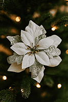 Snowfall Silver Poinsettia