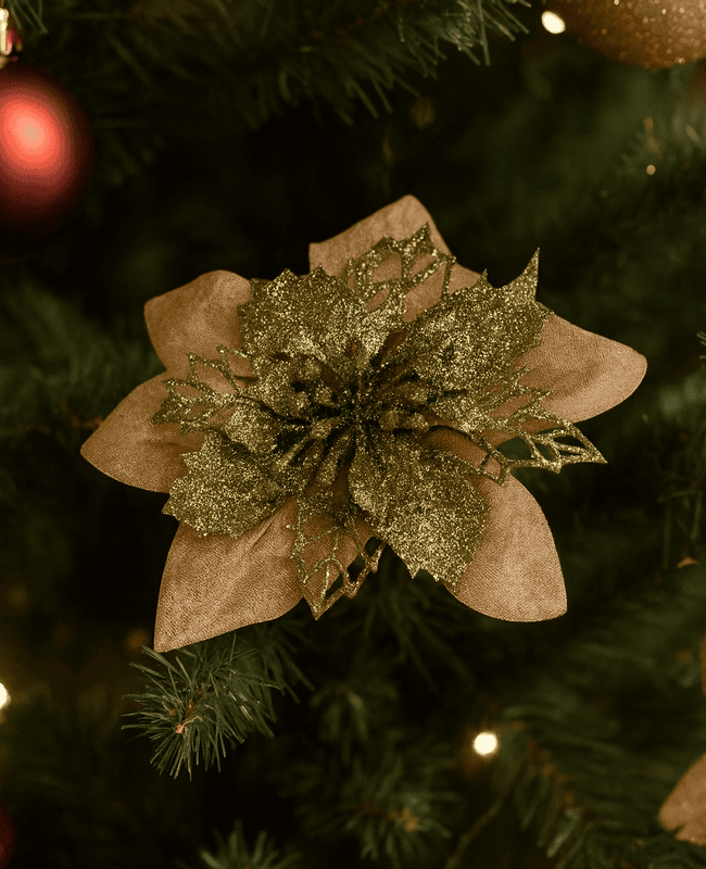 Peach Glimmer Poinsettia