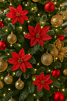 Crimson Spark Poinsettia