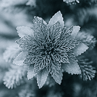 Silver Flower With Silver Glitter Petals