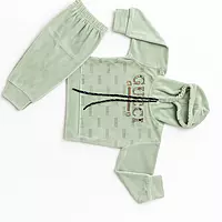 Velvet Kids Hoodie and Jogger Set