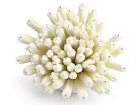 100 Pcs Pipe Cleaners for DIY Craft