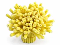 100 Pcs Pipe Cleaners for DIY Craft