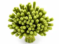 100 Pcs Pipe Cleaners for DIY Craft