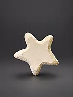 Custom Reusable star tray DIY Painting Kit- Set of 1