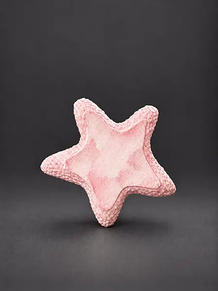 Custom Reusable star tray DIY Painting Kit- Set of 1
