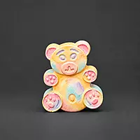 Custom Butterfly Teddy DIY Painting Kit- Set of 1