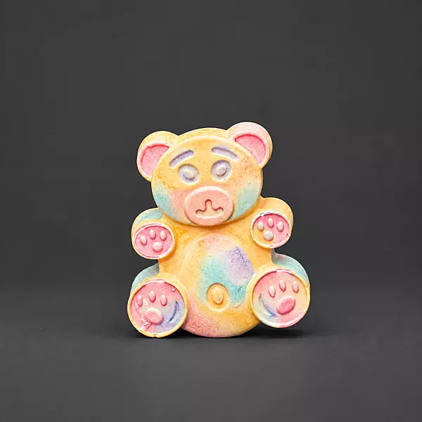 Custom Butterfly Teddy DIY Painting Kit- Set of 1