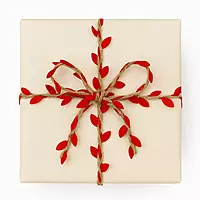 Red Jute & Leaf String