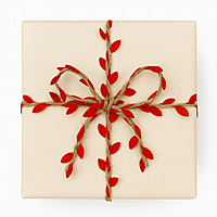 Red Jute & Leaf String