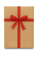 Red Sheer Ribbon with Centre Satin Stripe