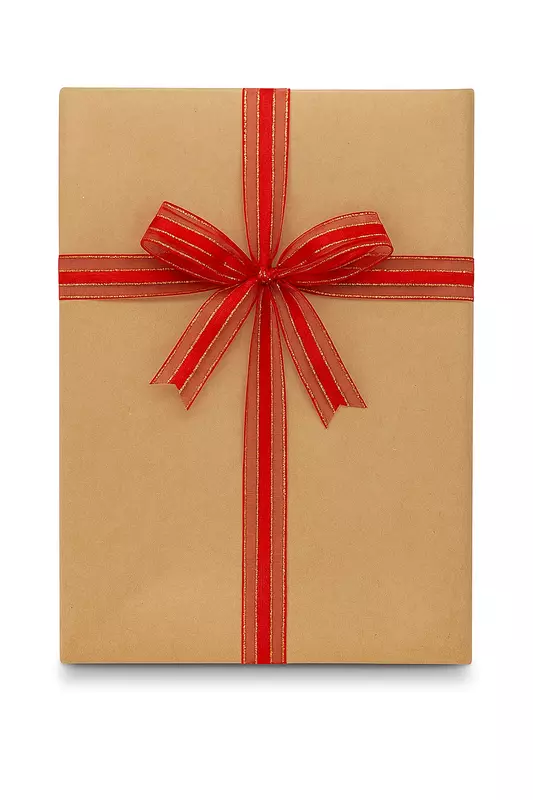 Red Sheer Ribbon with Centre Satin Stripe