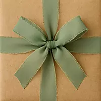 Luxe Chiffon Ribbons