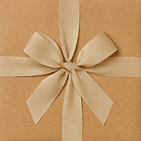 Luxe Chiffon Ribbons