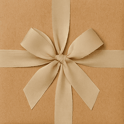 Luxe Chiffon Ribbons