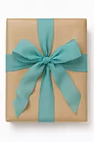Luxe Chiffon Ribbons