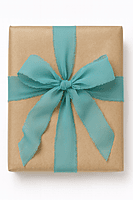 Luxe Chiffon Ribbons