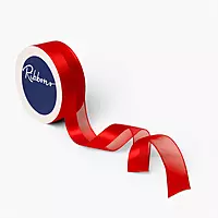 Luxe Half Satin Half Organza Ribbon