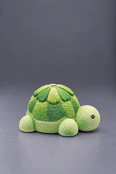 Custom Reusable 3D small tortoise DIY Painting Kit-Set of 1