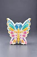 Custom Reusable butterfly DIY Painting Kit- Set of 1