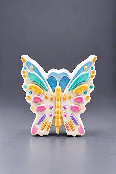 Custom Reusable butterfly DIY Painting Kit- Set of 1