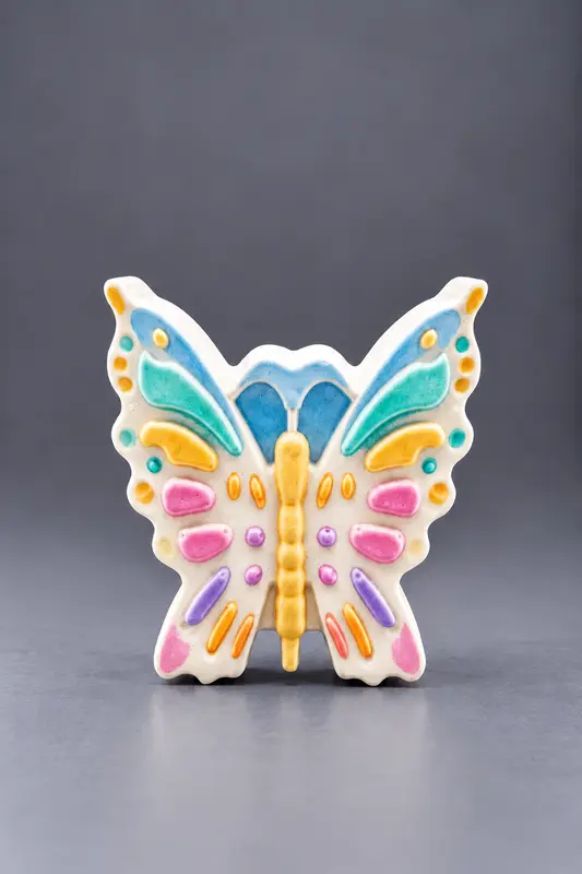 Custom Reusable butterfly DIY Painting Kit- Set of 1