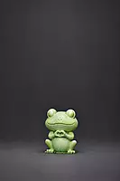 Custom Reusable 3D Frog DIY Painting Kit- Set of 1