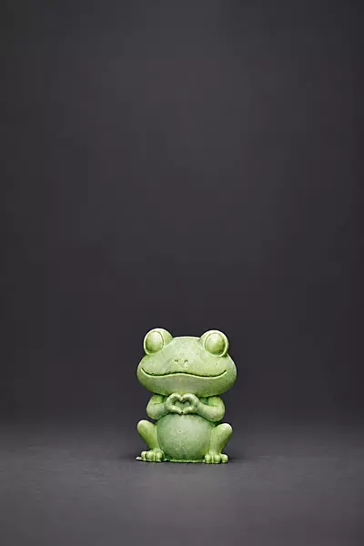 Custom Reusable 3D Frog DIY Painting Kit- Set of 1
