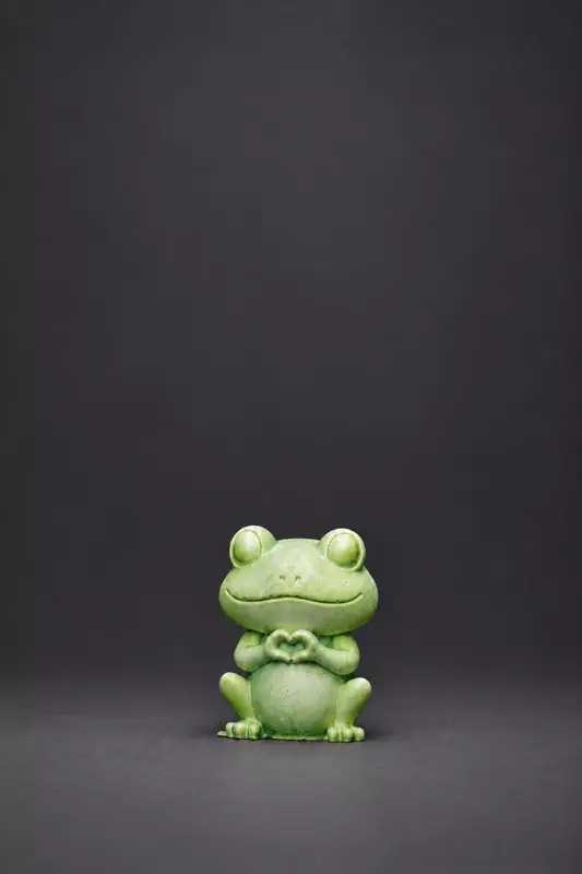 Custom Reusable 3D Frog DIY Painting Kit- Set of 1