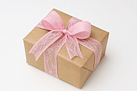 Net Lace Ribbon - Sky/Red