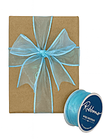 Iridescent Sheer Ribbon - Multicolour