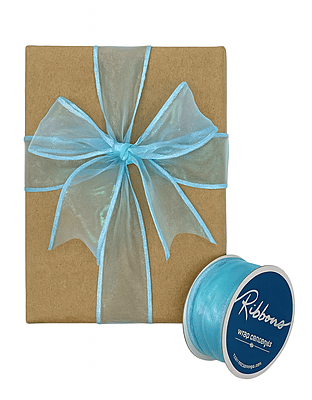 Iridescent Sheer Ribbon - Multicolour