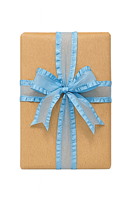 Sheer Ribbon With Satin Frill Edges