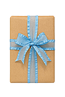 Sheer Ribbon With Satin Frill Edges