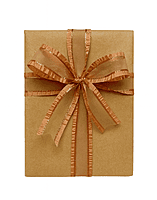 Sheer Ribbon With Satin Frill Edges