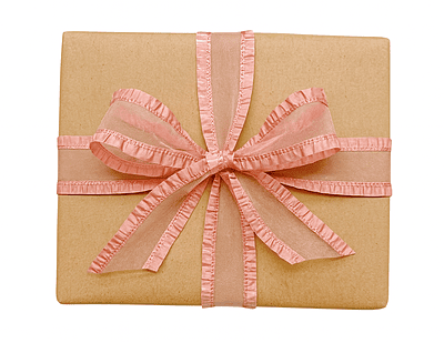 Sheer Ribbon With Satin Frill Edges