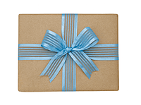 Sheer Stripes Ribbon Satin Edges-Maroon-10 yards