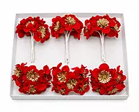 Imperial Scarlet Blossom