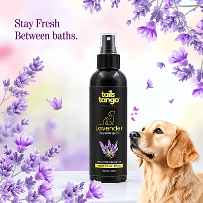 Dry Bath Lavender 200 ML