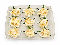 Vanilla Glow Rose