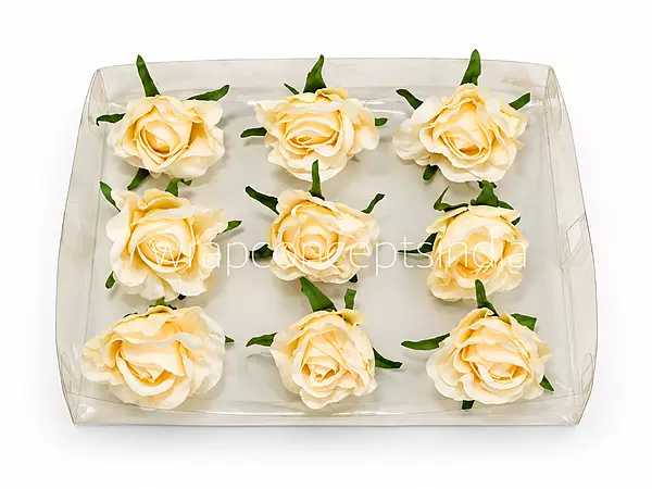 Vanilla Glow Rose